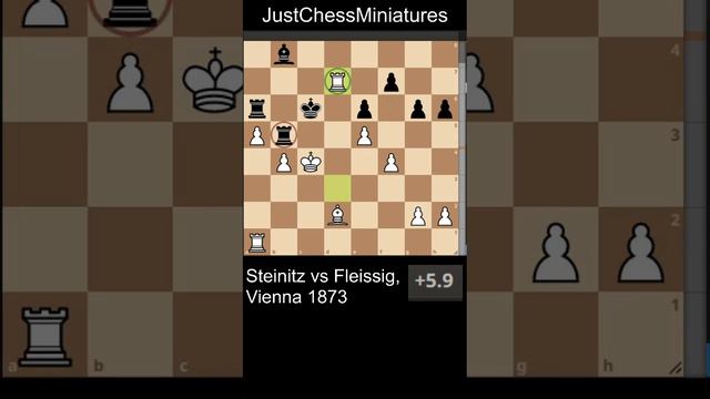 The King is overloaded and Steinitz takes the advantage #chess