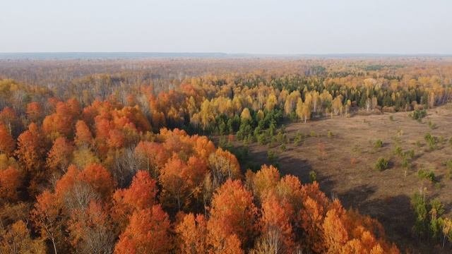 Заказник