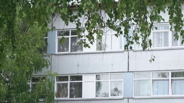 В Новосибирске приостановили строительство шести концессионных школ