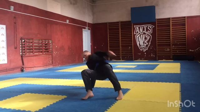 BJJ...Jiu Jitsu HOME GYM --6 moves...2 PART