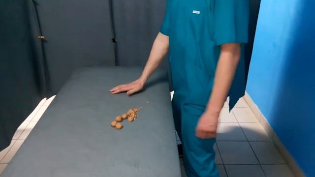 Волна в ладонь