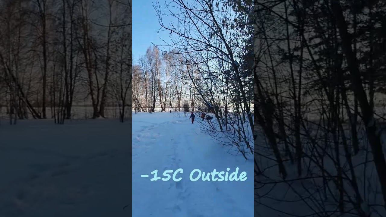 BEAUTIFUL WORLD shorts