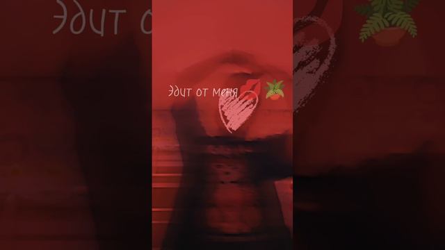 Эдит🪴