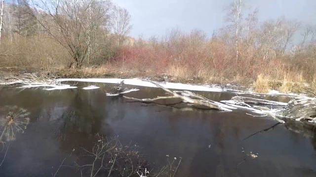 Ловля ХАРИУСА осенью  ШУГА! Забереги