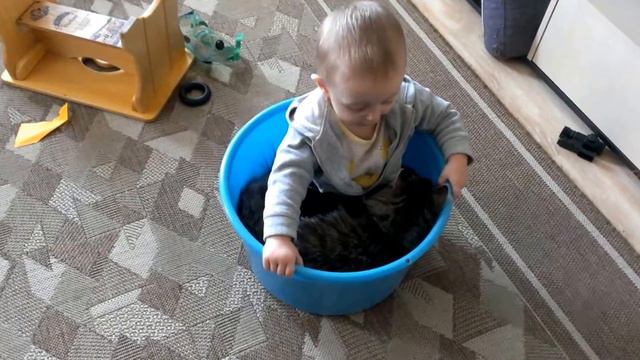 ★Кот Марс и малыш  игра в прессинг★