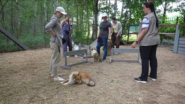 Вопрос-ответ: об опасности высокой травы. Выпуск 6.