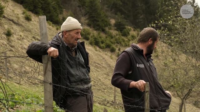 Çoban Yakupun Koyun ve Keçi Sevgisi Tüylü Köpek Karabaş  Belgesel 4K