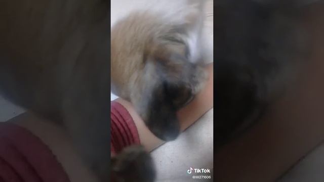 Чтобы сожрать
