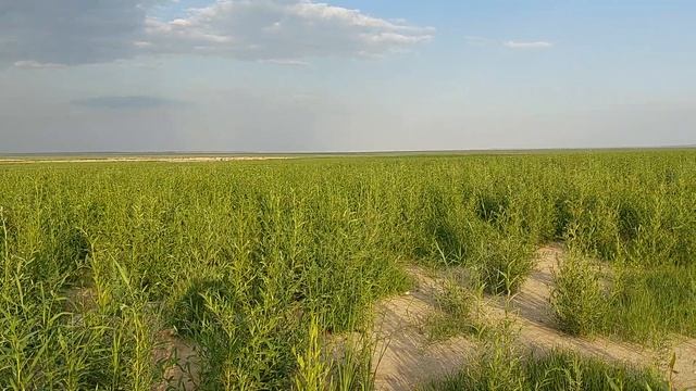 Каховське водосховище - Все змінилось, змінюється, та буде змінюватись.