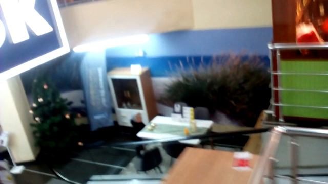 VLOG:Мы купили вторую морскую свинку ?