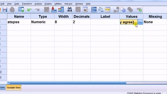 SPSS for newbies tutorial: Likert scale input including reverse coding