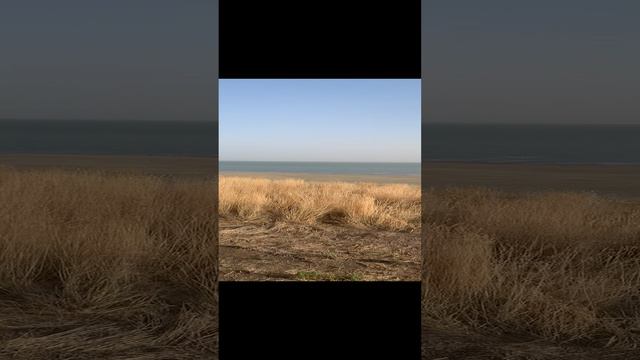 Доехали до работы