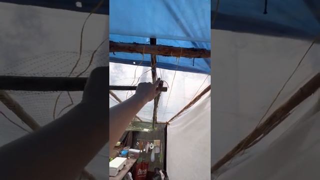 Экскурсия по нашему жилищу)))