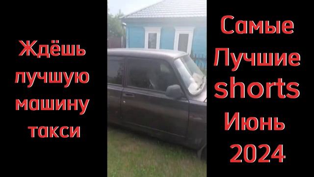 Лучшие shorts за Июнь 2024|#14