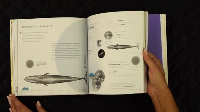 Большая книга аналогий. Антиучебник который поможет влюбиться в науку