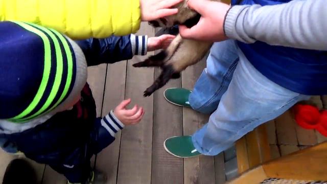 Частный зоопарк Нижний Тагил С днём рожденья МЕНЯ