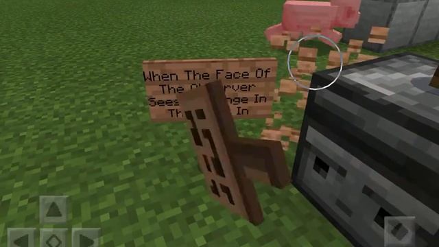 How To Use The Observer (MineCraft)