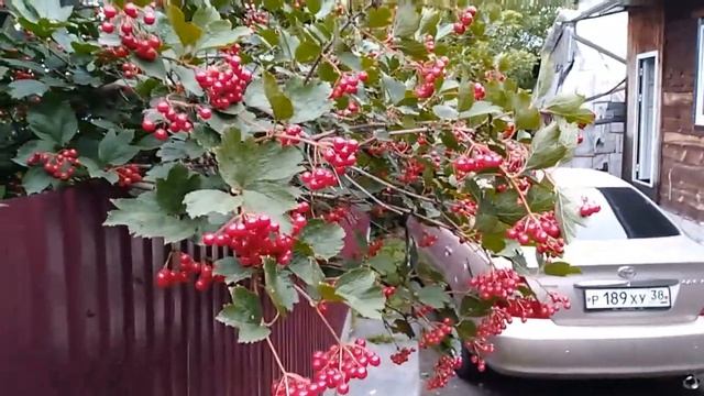 старые покрышки в дело (часть 1) 2021 год