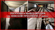 Вывоз мусора на Невском. День 7.