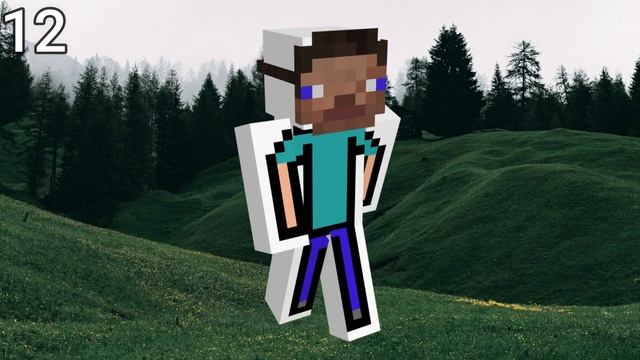 SKIN STEVE MINECRAFT - STEVE MINECRAFT SKINS (FUNNY SKIN)