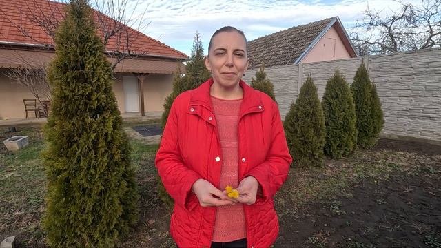 Ce Semănăm și Plantăm în Ianuarie