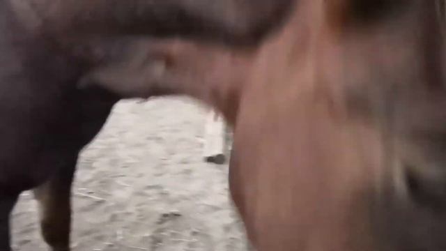 Гранд кашляет