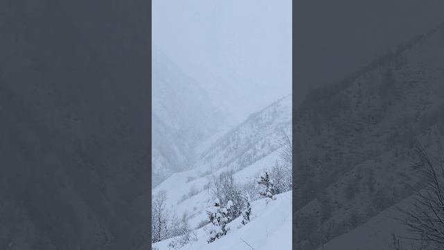 Красота | Хутрах