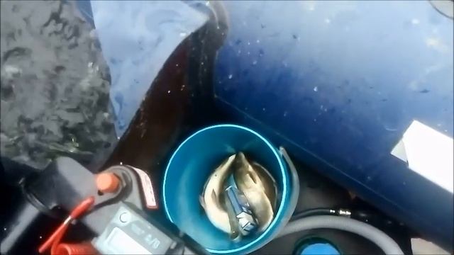 Рыбалка с Иванычем/ Где-то в паралельной вселенной/ Закрытие сезона/2021