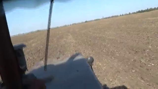 Хит сезона Потому что я Бетмен