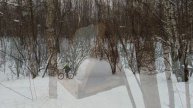 Лыжная прогулка в заказнике "Тёплый Стан", конец февраля 2024, синички, ястреб, снеговики