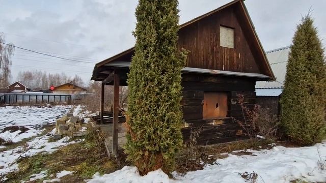 Сад березка В Дуброво