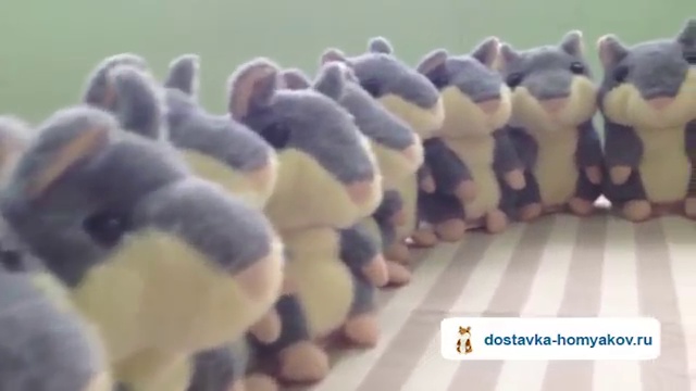 Хомяк Woody исполняет  'Рюмка водки на столе'.