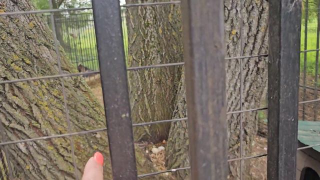 приключения начались. Всё пошло не так как хотелось