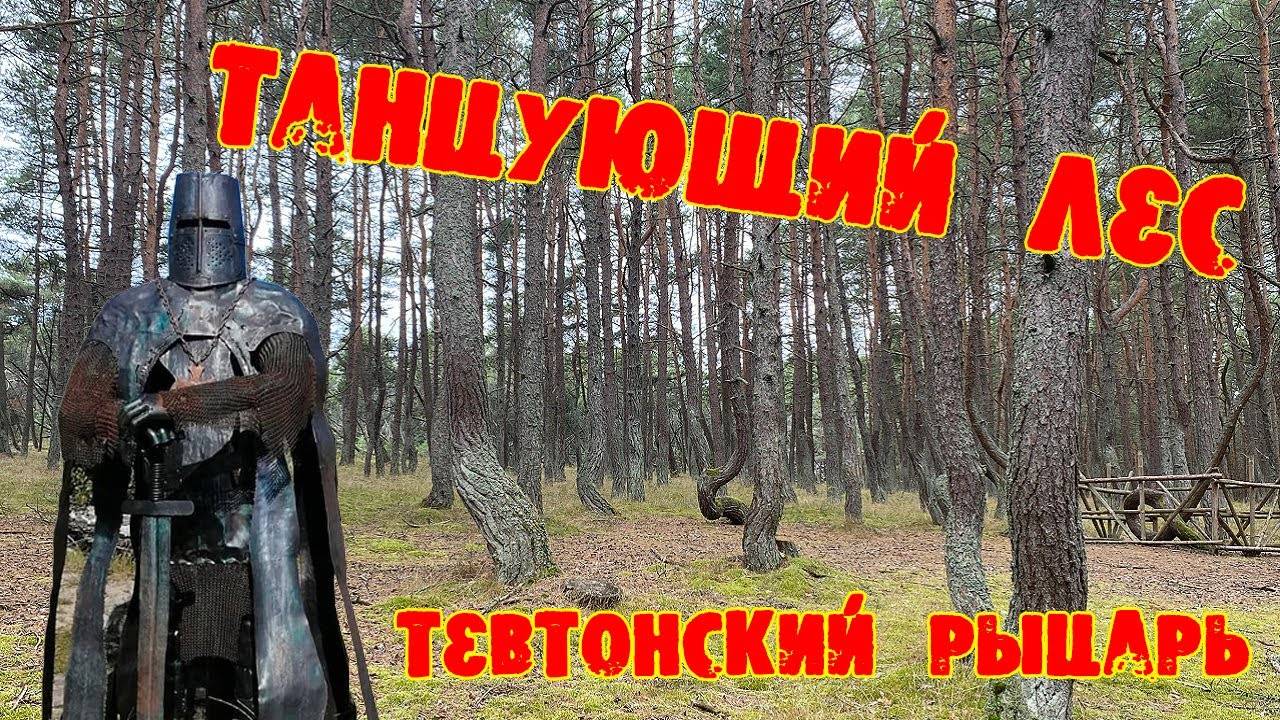 Тайна _Танцующего леса". В поисках Тевтонского рыцаря. Куршская коса.
