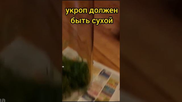 Как хранить укроп