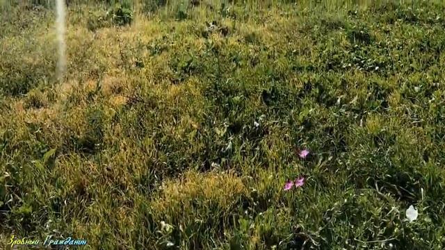Видео Обзор Заброшенной ГИДРОМЕЛИОРАТИВНОЙ СИСТЕМЫ в с Глазовка Ленинского р на р Крым ч 2