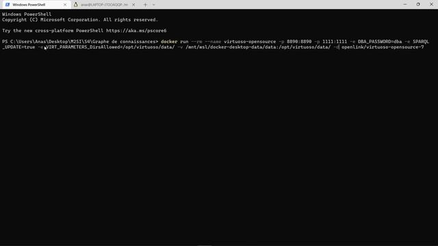 Virtuoso OpenLink Docker Image: Bulk Loading RDF File Using ISQL (ld_dir)