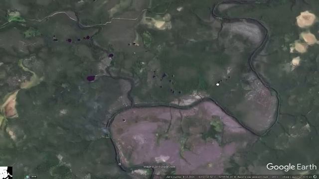 Гигантские территории погибшей тайги в России