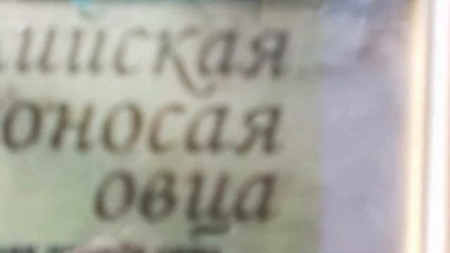 Санаторий Октябрьский в Сочи