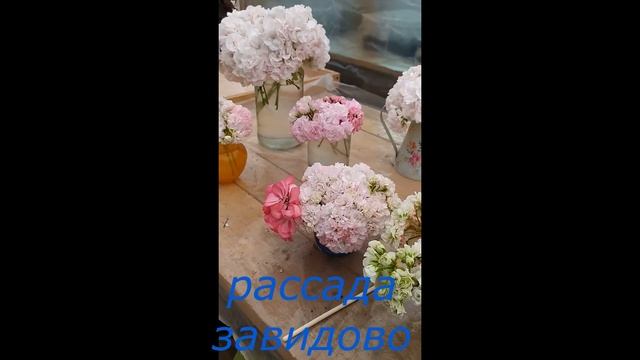 Цветы для свадебных букетов. Флористы что скажете?
