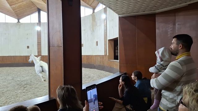 ВЛОГ