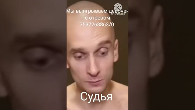 Победила дружба
