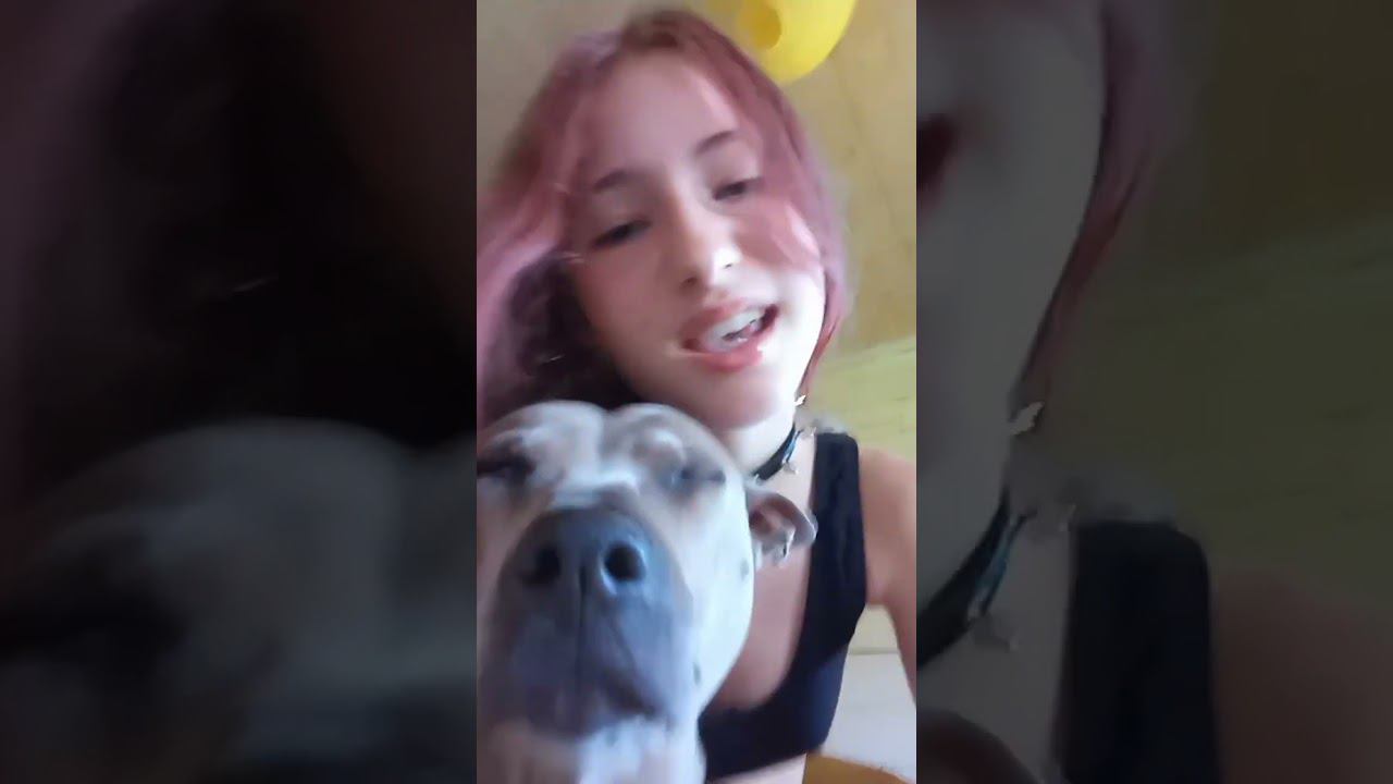 @6arelyhuman my dog love ur songs too! ur best music artist