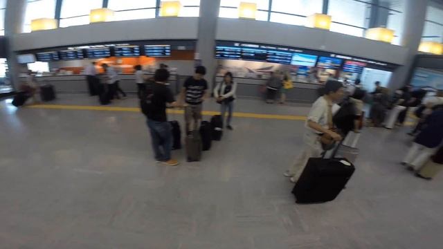 21 День в Японии, часть первая - на пути в Токио