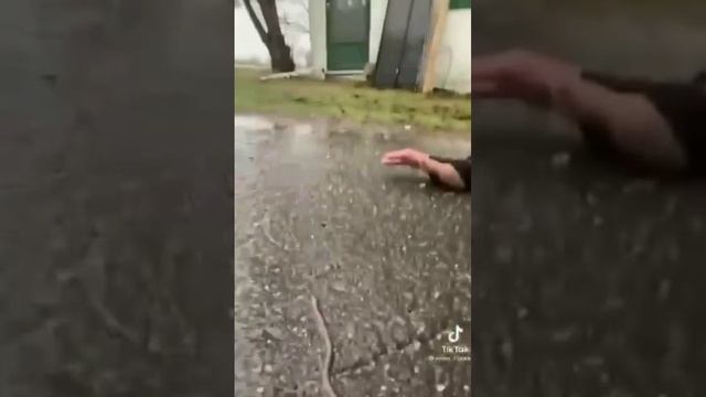 Им просто не надо мешать...