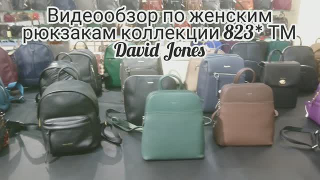 823*_женские рюкзаки из искусственной кожи торговая марка David Jones