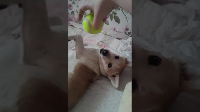 Джуди наша)