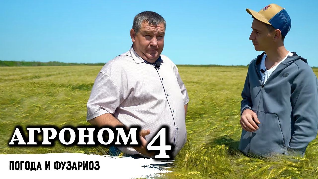 Промежуточный результат // Как влияют осадки // Часть 4