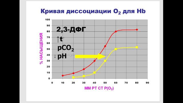 Частная биохимия. Клетки крови. Часть 3. 2023