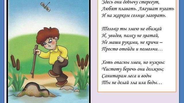 Поведение в  природе.mp4